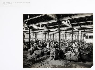 Rag sorting at J.R.Burrows, Carlinghow Mills, Batley. Original print, early 1930s. Image used for one of the photographic illustrations in 
