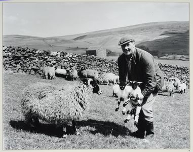 Mr W. Calvert, Thorns, Swaledale, holding twins at lambing time. Image used for one of the photographic illustrations in 