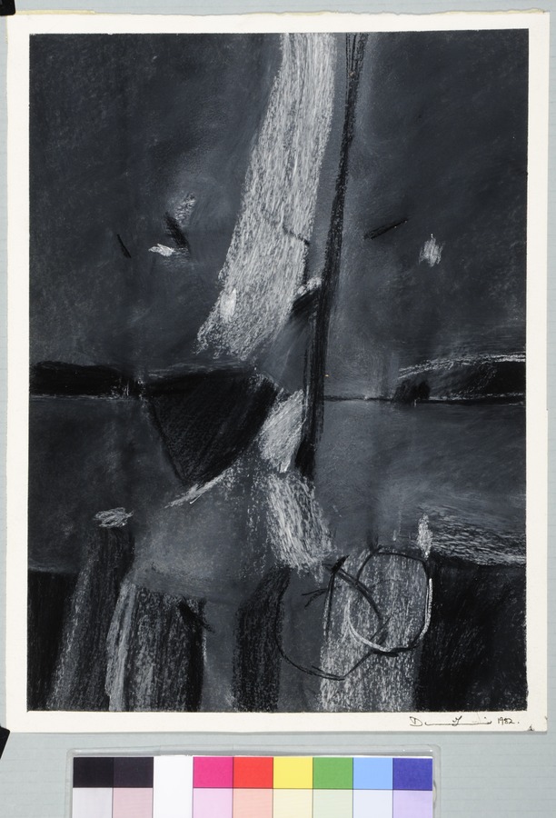 Cowries in a coastal ?