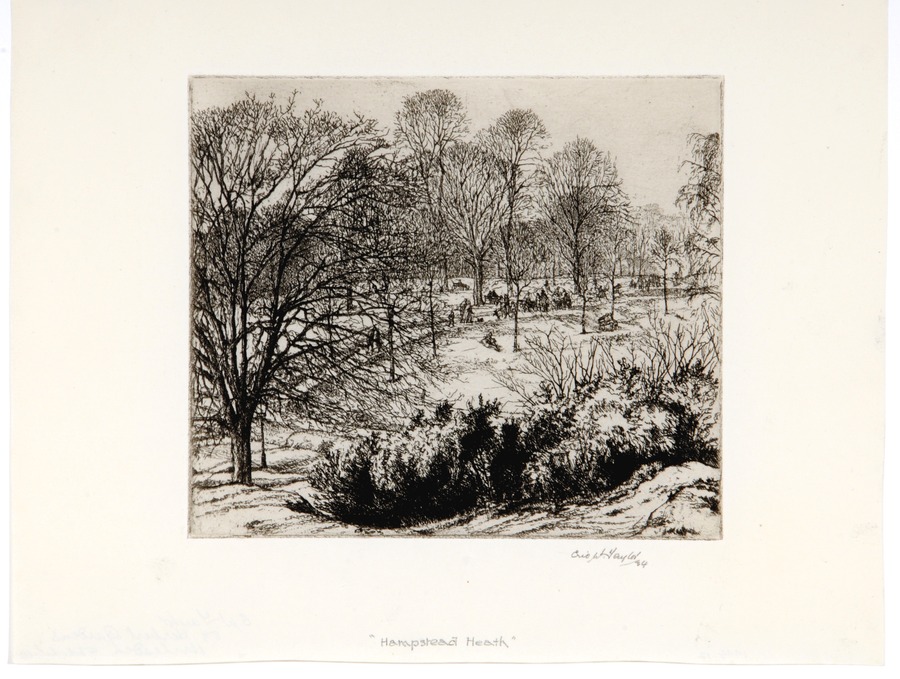 Hampstead Heath