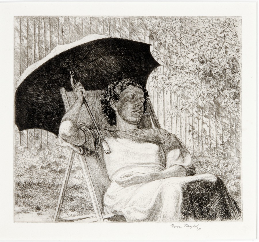 The Sunshade