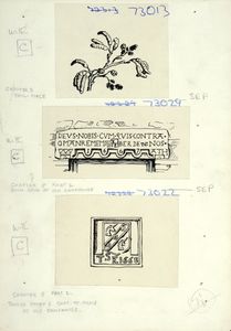 Three drawings: above, alder twig; centre, door-head at old Camshouse; below, Thomas Smith's Coat-of-Arms at Old Camshouse. Used as tailpieces for 