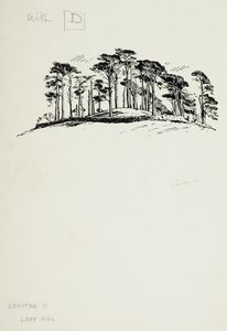 Lady Hill. Original drawing used in 