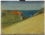 The Cornish Coast