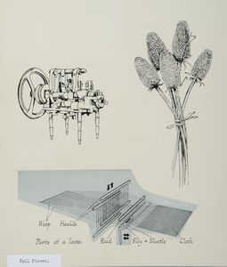 Three drawings used as tailpieces in 
