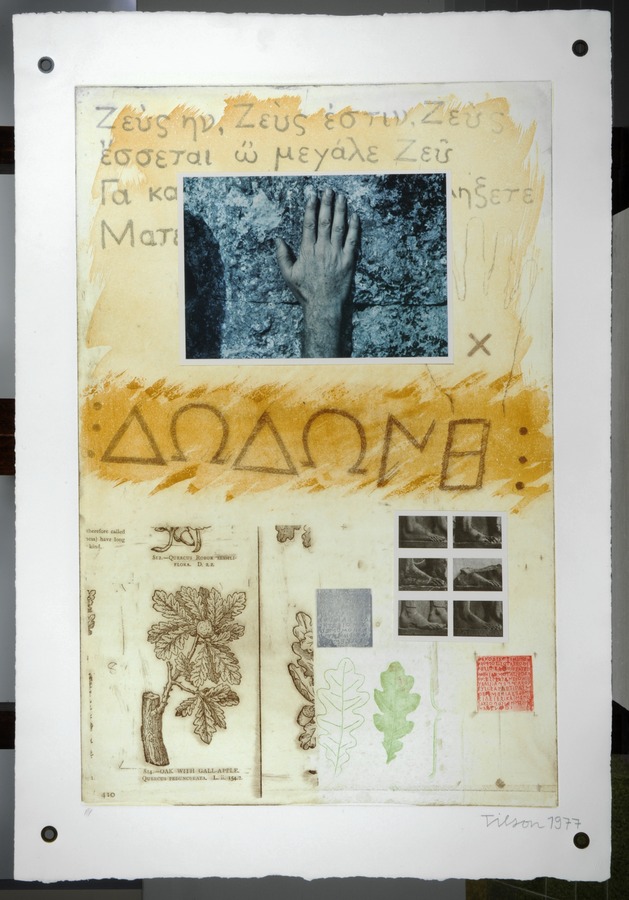 Proscinemi, Dodona, Oracle of Zeus