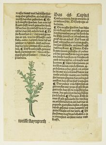 Johannes von Cube, Gart der Gesundheit