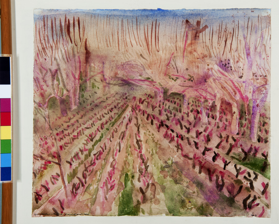 Spring Garden in Provence - Vines and fruit trees