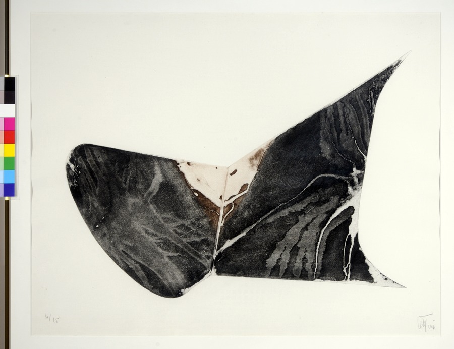untitled (shaped canvas form)