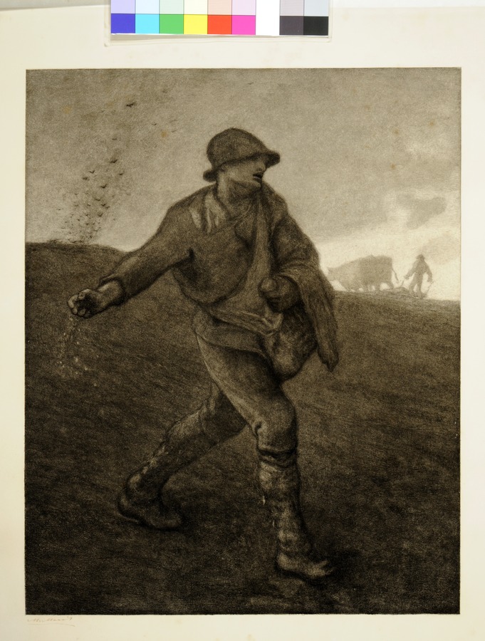 The Sower, after Millet