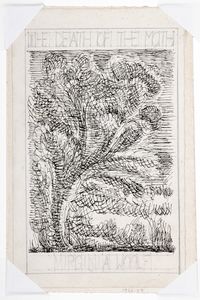 The Death of the Moth