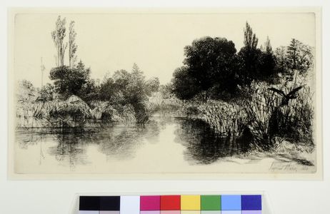 Shere Mill Pond (larger plate)