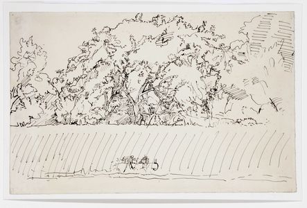 Study of Trees Overhanging a Hedge