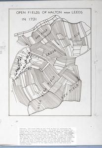 Open Fields of Halton near Leeds. Original drawing for use in 