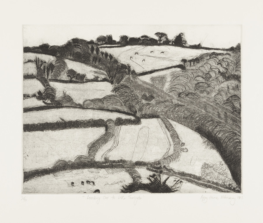 Looking over to Little Torrington (part of Bristol Printmakers' folio '81)
