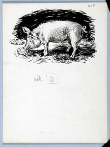 Our Pig. Original drawing used in 