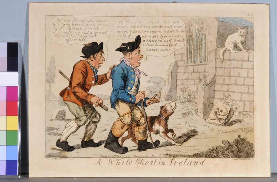 A White Ghost in Ireland (satirical print)
