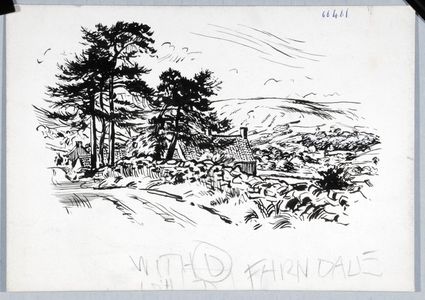 In Farndale. Original drawing used in 
