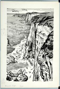 Bempton Cliffs. Original drawing used in 
